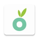 mercato: grocery delivery android application logo